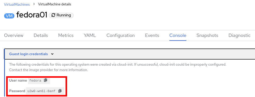14 Fedora Console Show Password